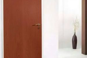 Как обновить старую дверь в ванной фото